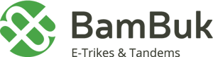 bambuk_logo